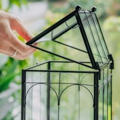 Vintage House Glass Geometric Terrarium Card Box Black 39 Vintage House Glass Geometric Terrarium Card Box Black -Ncyp Garden Sale Shop 20230329020 20