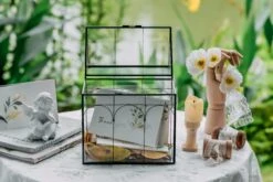 Vintage House Glass Geometric Terrarium Card Box Black 23 Vintage House Glass Geometric Terrarium Card Box Black -Ncyp Garden Sale Shop 20230329020 3