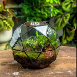 Handmade Close Triangular Pentagon Mix 32-Sides Clear Glass Geometric Centerpiece Terrarium For Moss