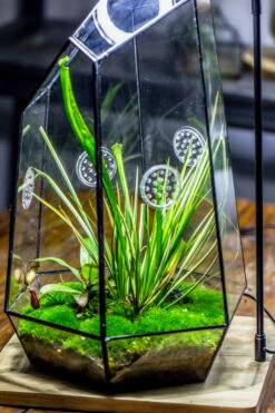Handmade 41cm / 16" Tall IrregularGlass Geometric Terrarium Box With Vent -Ncyp Garden Sale Shop 20230510030 11