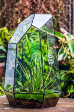 Handmade 41cm / 16" Tall IrregularGlass Geometric Terrarium Box With Vent -Ncyp Garden Sale Shop 20230510030 13