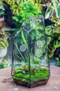 Handmade 41cm / 16" Tall IrregularGlass Geometric Terrarium Box With Vent -Ncyp Garden Sale Shop 20230510030 16
