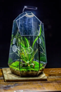 Handmade 41cm / 16" Tall IrregularGlass Geometric Terrarium Box With Vent -Ncyp Garden Sale Shop 20230510030 3