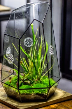 Handmade 41cm / 16" Tall IrregularGlass Geometric Terrarium Box With Vent -Ncyp Garden Sale Shop 20230510030 7