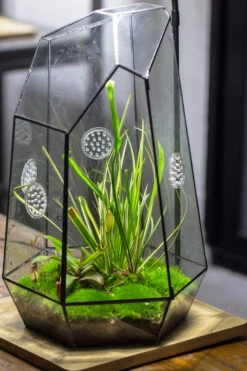Handmade 41cm / 16" Tall IrregularGlass Geometric Terrarium Box With Vent -Ncyp Garden Sale Shop 20230510030 8