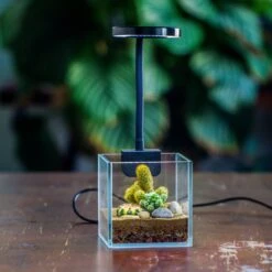 NCYP Clip Grow LED Light, Gooseneck, USB, 10W, Display, Adjustable, For Succulents, Open Terrarium, Fish Tank, Moss, Fern, Tropical Plants