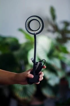 NCYP Clip Grow LED Light, Gooseneck, USB, 10W, Display, Adjustable, For Succulents, Open Terrarium, Fish Tank, Moss, Fern, Tropical Plants -Ncyp Garden Sale Shop 20230628086 14