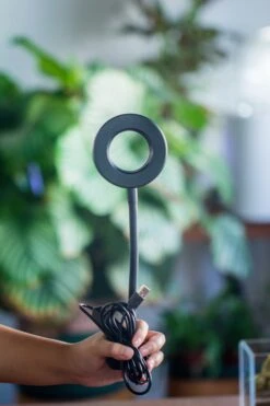 NCYP Clip Grow LED Light, Gooseneck, USB, 10W, Display, Adjustable, For Succulents, Open Terrarium, Fish Tank, Moss, Fern, Tropical Plants -Ncyp Garden Sale Shop 20230628086 3