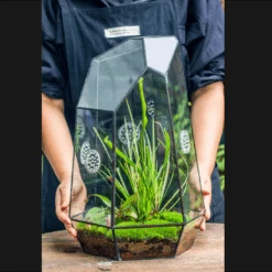 Handmade 41cm / 16" Tall IrregularGlass Geometric Terrarium Box With Vent