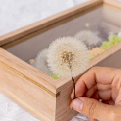 Presered Dandelion Set 3 Pcs Dried Flowers, DIY Material For Bouquet, -Ncyp Garden Sale Shop 290A1555