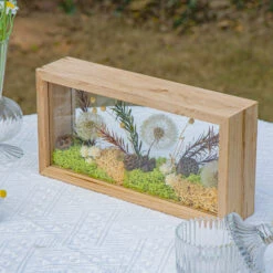 Presered Dandelion Set 3 Pcs Dried Flowers, DIY Material For Bouquet, -Ncyp Garden Sale Shop 290A1770