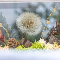 Presered Dandelion Set 3 Pcs Dried Flowers, DIY Material For Bouquet, -Ncyp Garden Sale Shop 290A1775