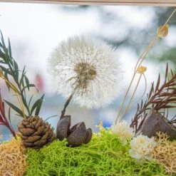 Presered Dandelion Set 3 Pcs Dried Flowers, DIY Material For Bouquet, -Ncyp Garden Sale Shop 290A1785