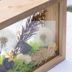 Presered Dandelion Set 3 Pcs Dried Flowers, DIY Material For Bouquet, -Ncyp Garden Sale Shop 290A1800