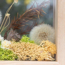 Presered Dandelion Set 3 Pcs Dried Flowers, DIY Material For Bouquet, -Ncyp Garden Sale Shop 290A1860