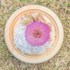 Purple Presered Dandelion Set 3 Pcs Dried Flowers, DIY Material For Bouquet, -Ncyp Garden Sale Shop 290A2132
