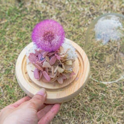 Purple Presered Dandelion Set 3 Pcs Dried Flowers, DIY Material For Bouquet, -Ncyp Garden Sale Shop 290A2163