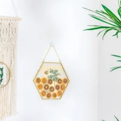 Wall Hanging Hexagon 12" Herbarium Brass Glass Frame For Thick Pressed Flowers, Dried Flowers, Poster, Coin, Double Glass, Floating Frame -Ncyp Garden Sale Shop 290A2495