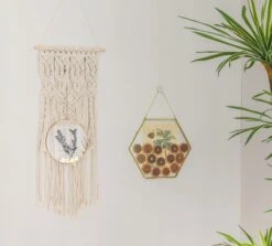 Wall Hanging Round 8" Herbarium Brass Glass Frame For Thick Pressed Flowers, Dried Flowers, Poster, Coin, Double Glass, Floating Frame 37 Wall Hanging Round 8" Herbarium Brass Glass Frame For Thick Pressed Flowers, Dried Flowers, Poster, Coin, Double Glass, Floating Frame -Ncyp Garden Sale Shop 290A2521