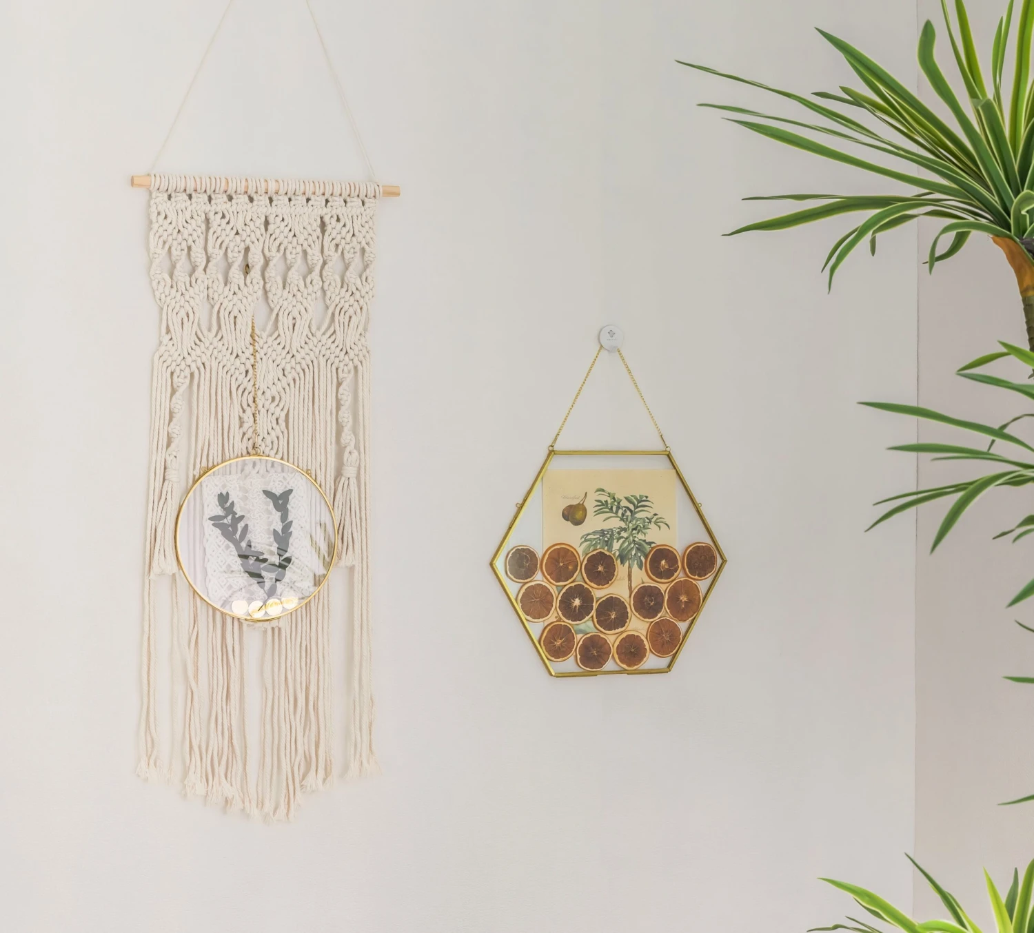 Wall Hanging Round 8" Herbarium Brass Glass Frame For Thick Pressed Flowers, Dried Flowers, Poster, Coin, Double Glass, Floating Frame 19 Wall Hanging Round 8" Herbarium Brass Glass Frame For Thick Pressed Flowers, Dried Flowers, Poster, Coin, Double Glass, Floating Frame - Image 19