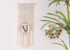 Wall Hanging Round 8" Herbarium Brass Glass Frame For Thick Pressed Flowers, Dried Flowers, Poster, Coin, Double Glass, Floating Frame 23 Wall Hanging Round 8" Herbarium Brass Glass Frame For Thick Pressed Flowers, Dried Flowers, Poster, Coin, Double Glass, Floating Frame -Ncyp Garden Sale Shop 290A2527