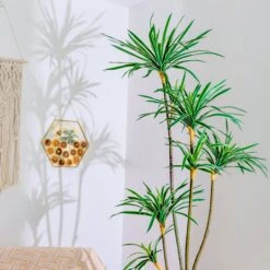 Wall Hanging Hexagon 12" Herbarium Brass Glass Frame For Thick Pressed Flowers, Dried Flowers, Poster, Coin, Double Glass, Floating Frame -Ncyp Garden Sale Shop 290A2567