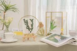 Wall Hanging Round 8" Herbarium Brass Glass Frame For Thick Pressed Flowers, Dried Flowers, Poster, Coin, Double Glass, Floating Frame 35 Wall Hanging Round 8" Herbarium Brass Glass Frame For Thick Pressed Flowers, Dried Flowers, Poster, Coin, Double Glass, Floating Frame -Ncyp Garden Sale Shop 290A2779