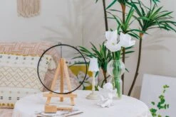 NCYP Glass Coin Organizer Holder For Morgan Silver Dollar Coin - Wall Hanging Display Frame - Round 8" Glass Floating Herbarium For Dried Flowers - Home Decor, Black -Ncyp Garden Sale Shop 290A2892