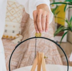 NCYP Glass Coin Organizer Holder For Morgan Silver Dollar Coin - Wall Hanging Display Frame - Round 8" Glass Floating Herbarium For Dried Flowers - Home Decor, Black -Ncyp Garden Sale Shop 290A2893