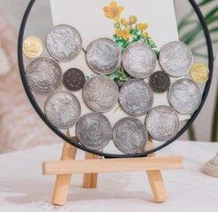 NCYP Glass Coin Organizer Holder For Morgan Silver Dollar Coin - Wall Hanging Display Frame - Round 8" Glass Floating Herbarium For Dried Flowers - Home Decor, Black -Ncyp Garden Sale Shop 290A2913