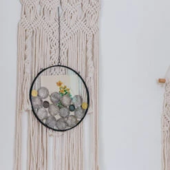 NCYP Glass Coin Organizer Holder For Morgan Silver Dollar Coin - Wall Hanging Display Frame - Round 8" Glass Floating Herbarium For Dried Flowers - Home Decor, Black -Ncyp Garden Sale Shop 290A2960