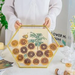 Wall Hanging Hexagon 12" Herbarium Brass Glass Frame For Thick Pressed Flowers, Dried Flowers, Poster, Coin, Double Glass, Floating Frame -Ncyp Garden Sale Shop 290A3133