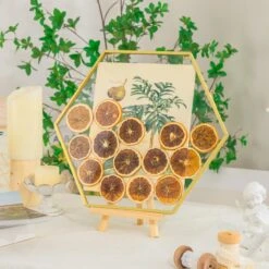 Wall Hanging Hexagon 12" Herbarium Brass Glass Frame For Thick Pressed Flowers, Dried Flowers, Poster, Coin, Double Glass, Floating Frame -Ncyp Garden Sale Shop 290A3141