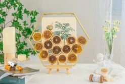Wall Hanging Hexagon 12" Herbarium Brass Glass Frame For Thick Pressed Flowers, Dried Flowers, Poster, Coin, Double Glass, Floating Frame -Ncyp Garden Sale Shop 290A3142