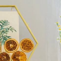 Wall Hanging Hexagon 12" Herbarium Brass Glass Frame For Thick Pressed Flowers, Dried Flowers, Poster, Coin, Double Glass, Floating Frame -Ncyp Garden Sale Shop 290A3146