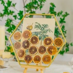 Wall Hanging Hexagon 12" Herbarium Brass Glass Frame For Thick Pressed Flowers, Dried Flowers, Poster, Coin, Double Glass, Floating Frame -Ncyp Garden Sale Shop 290A3150