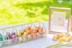 Glass Gold Tea Bag Box, 5 Compartments Box, Tea Lovers Gift Box, Tea Organizer, Christmas Gift 36 Glass Gold Tea Bag Box, 5 Compartments Box, Tea Lovers Gift Box, Tea Organizer, Christmas Gift -Ncyp Garden Sale Shop 290A6288 8bef7acc 87c4 407f 84be 8adea39493f2