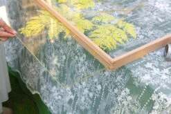 Customizable NCYP Handmade 18x24" 20x24" Tabletop Wall Hanging Natural Wood Acrylic Artwork Floating Frame 38 Customizable NCYP Handmade 18x24" 20x24" Tabletop Wall Hanging Natural Wood Acrylic Artwork Floating Frame -Ncyp Garden Sale Shop 290A6542