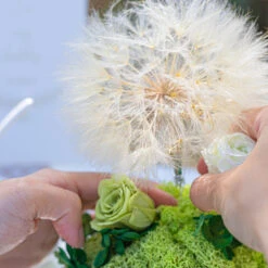 Super Large Diameter 11cm / 4.3 Presered Dandelion Dried Flowers, DIY Material For Bouquet, -Ncyp Garden Sale Shop 290A8870