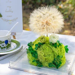 Super Large Diameter 11cm / 4.3 Presered Dandelion Dried Flowers, DIY Material For Bouquet, -Ncyp Garden Sale Shop 290A8877