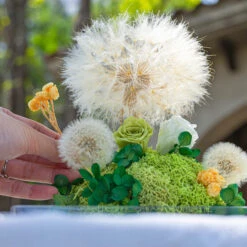 Super Large Diameter 11cm / 4.3 Presered Dandelion Dried Flowers, DIY Material For Bouquet,