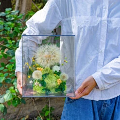 Super Large Diameter 11cm / 4.3 Presered Dandelion Dried Flowers, DIY Material For Bouquet, -Ncyp Garden Sale Shop 290A8941