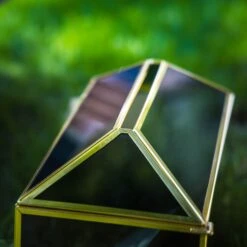 Handmade Black And Gold Large Geometric Glass Donation Box Terrarium With Slot And Lock -Ncyp Garden Sale Shop 290A9089 2