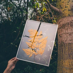 Handmade Silver 11x14" Hanging Double Glass Pressed Flower Floating Frame -Ncyp Garden Sale Shop 290A9650