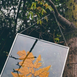 Handmade Silver 11x14" Hanging Double Glass Pressed Flower Floating Frame -Ncyp Garden Sale Shop 290A9661