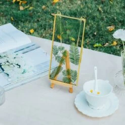 NCYP 4x9 Inchs Clear Glass Picture Frame Wall Hanging Certificate Photo Plant Specimen Clip 22 NCYP 4x9 Inchs Clear Glass Picture Frame Wall Hanging Certificate Photo Plant Specimen Clip -Ncyp Garden Sale Shop 290A9709