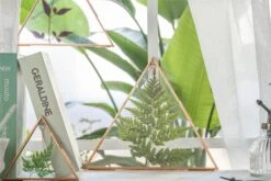 Hanging Triangle Herbarium Copper Glass Frame For Pressed Flowers Dried Flowers Poster 21 Hanging Triangle Herbarium Copper Glass Frame For Pressed Flowers Dried Flowers Poster -Ncyp Garden Sale Shop 2974
