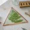 Hanging Triangle Herbarium Copper Glass Frame For Pressed Flowers Dried Flowers Poster