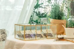 NCYP Glass Terrarium Box Tea Coffee Bag Storage Organizer Jewelry Counter 6 Grids Compartments Handcrafted Brass For Harney & Sons Tea Bag -Ncyp Garden Sale Shop 2 20201224001 6