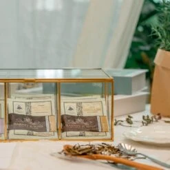 NCYP Glass Terrarium Box Tea Coffee Bag Storage Organizer Jewelry Counter 6 Grids Compartments Handcrafted Brass For Harney & Sons Tea Bag -Ncyp Garden Sale Shop 2 20201224001 8